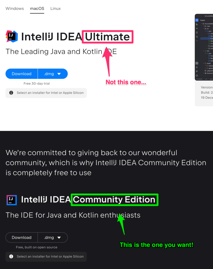 Options for downloading IntelliJ